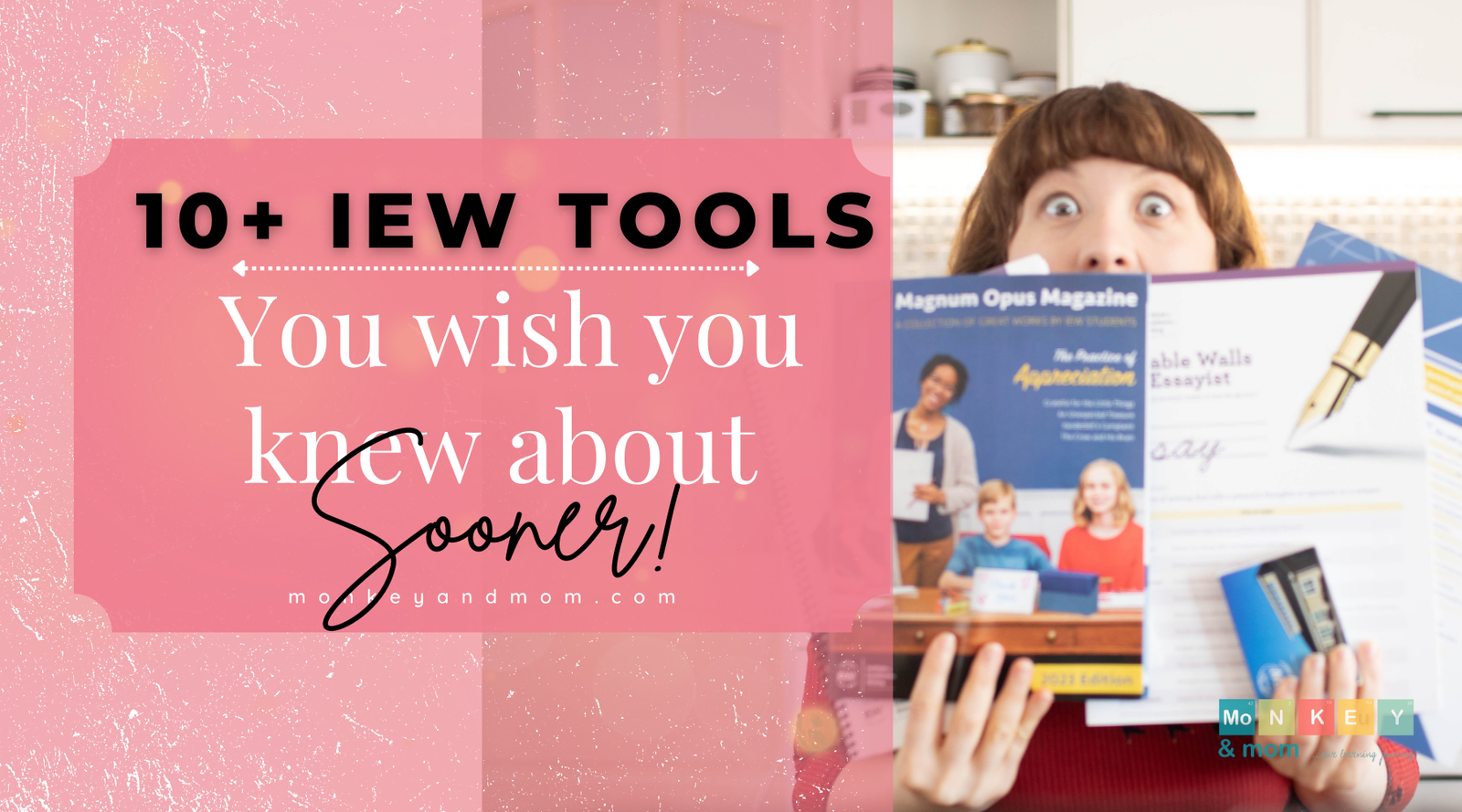 10+ IEW Tools You Wish You Knew About| Enriching SSS  (IV)