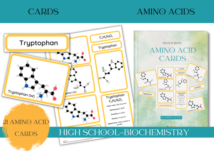 Amino Acid Cards - Biochemistry - Monkey And Mom