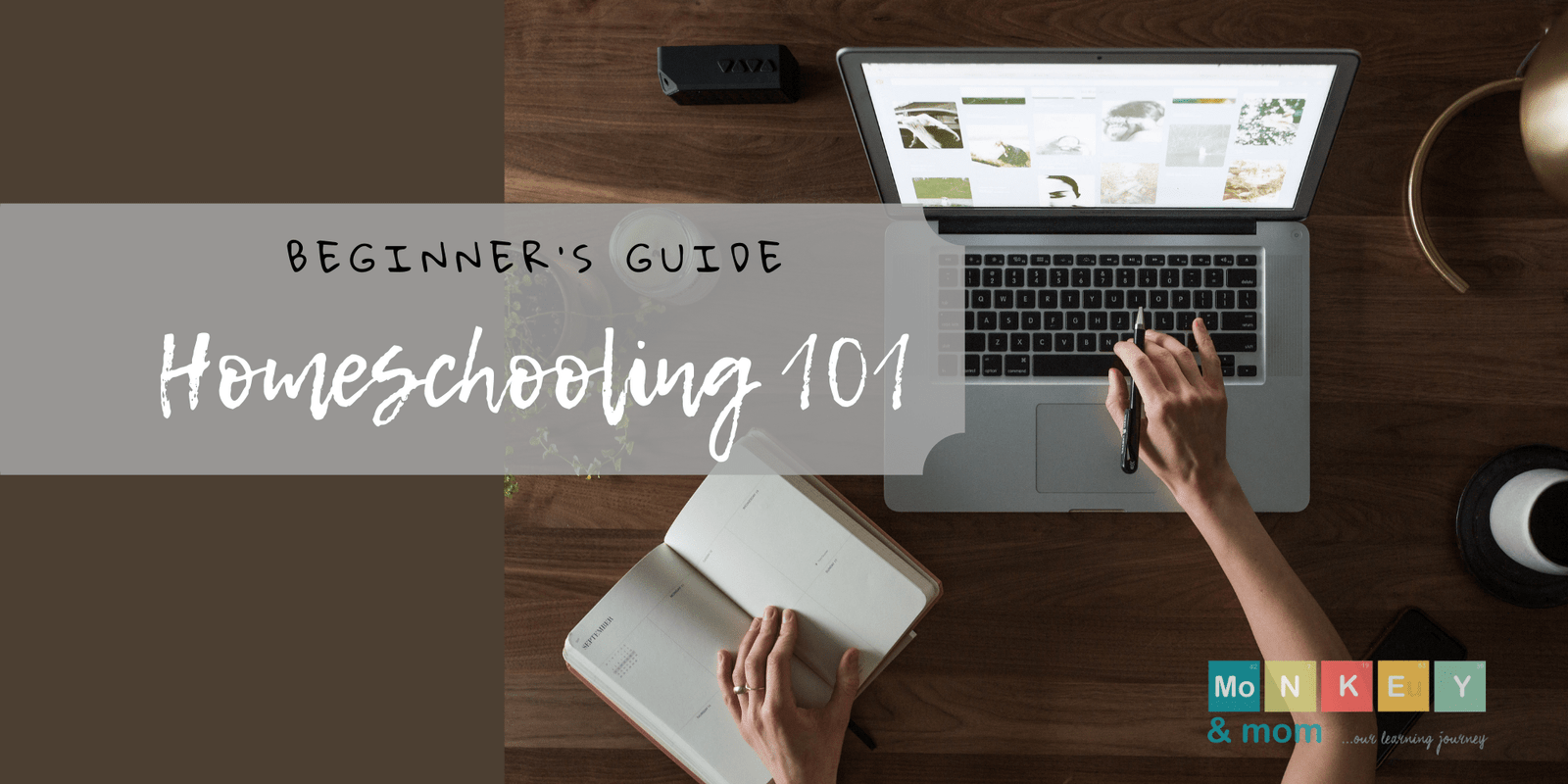Homeschooling 101-  beginner guide