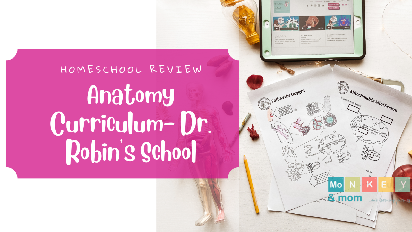 Homeschool Anatomy Curriculum Dr Robin School review monkeyandmom