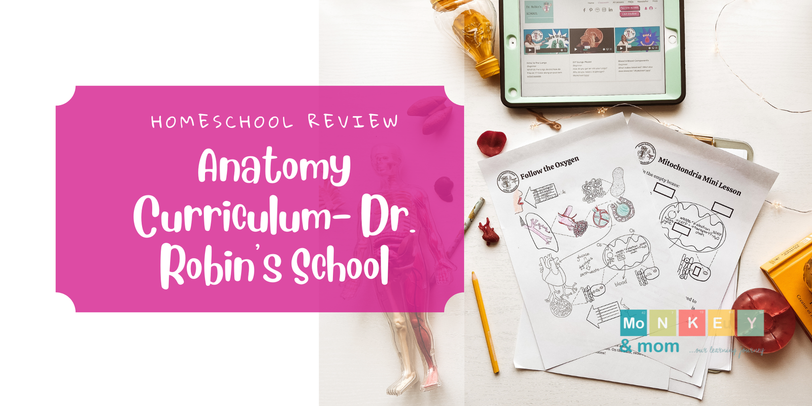 Homeschool Anatomy Curriculum- Dr Robin’s School Review