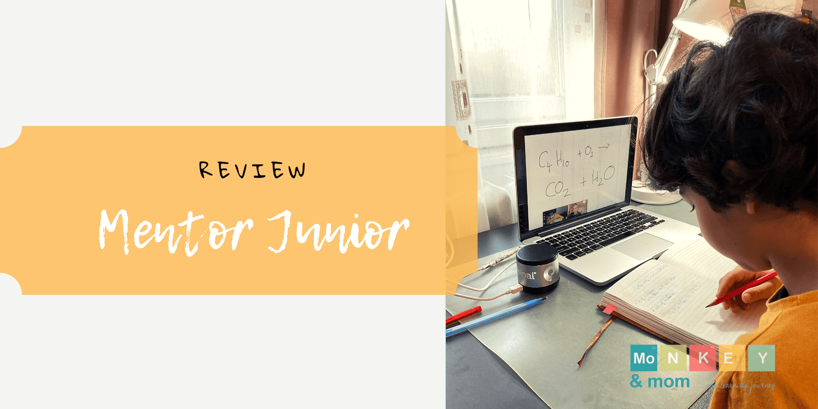 Mentor Junior review- a great option for finding mentors for free
