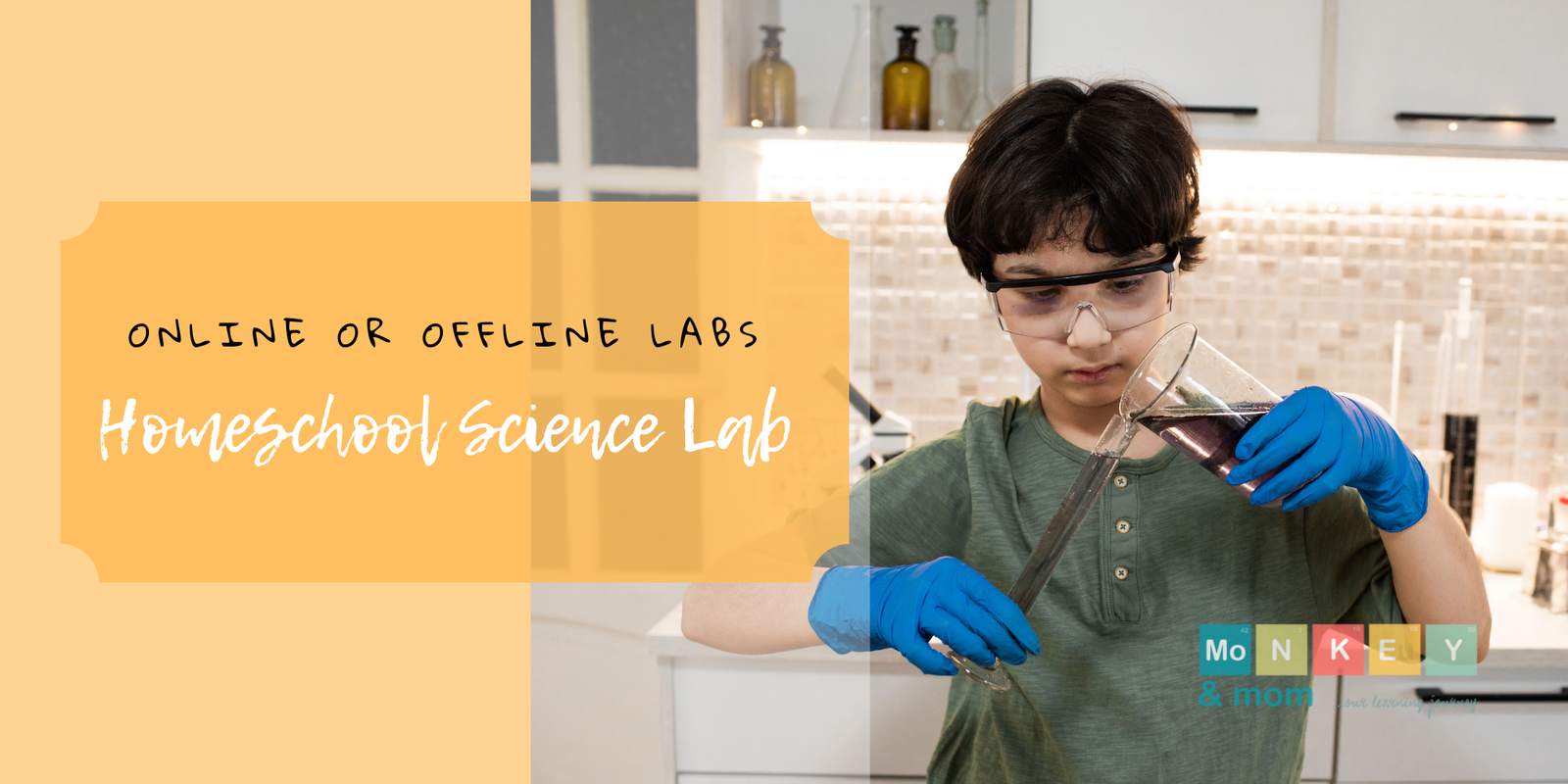 Homeschool Science Labs – Online or Offline
