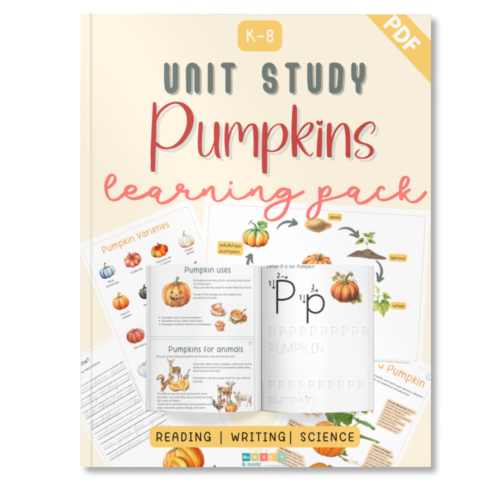 Pumpkin Printable Learning Pack by monkeyandmom