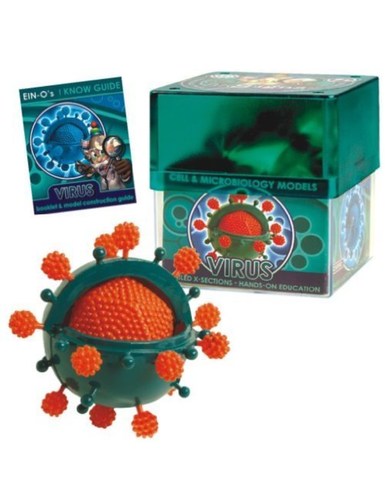 Homeschool Science Labs - Online or Offline 14 Screenshot 2022 01 10 at 16.57.32