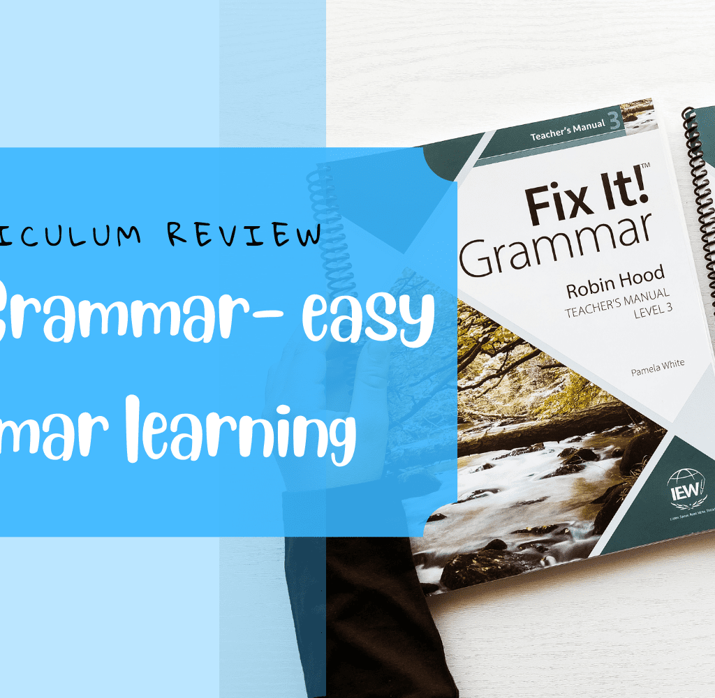 Fix It! Grammar: Level Little Mermaid Student Book, 50% OFF